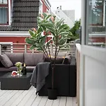 Spacious Apt, Big Roof Terrace, Free Parking