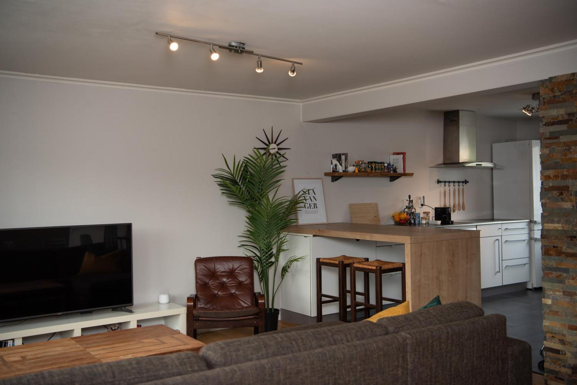 Spacious Apt, Big Roof Terrace, Free Parking * Stavanger